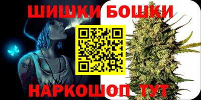сатива Беслан