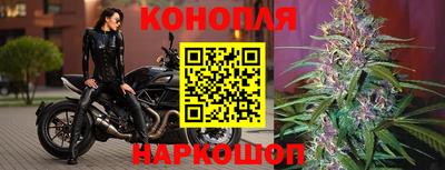 сатива Беслан