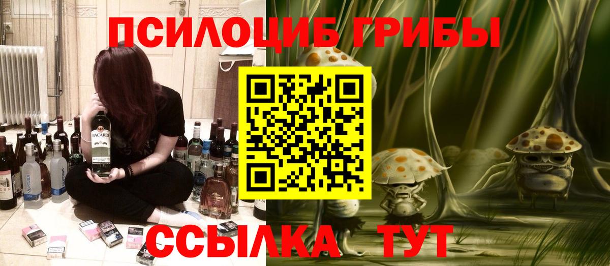 Псилоцибиновые грибы ЛСД  Вход с VPN  купить наркотики цена  Зима  Псилоцибиновые грибы GOLDEN TEACHER 