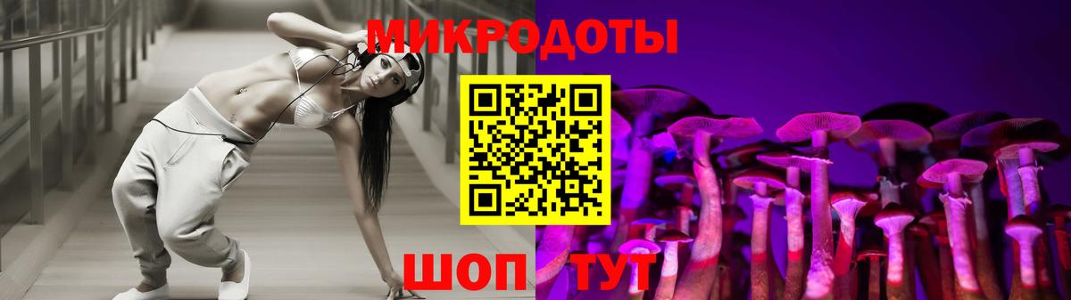 Псилоцибиновые грибы мухоморы Зима